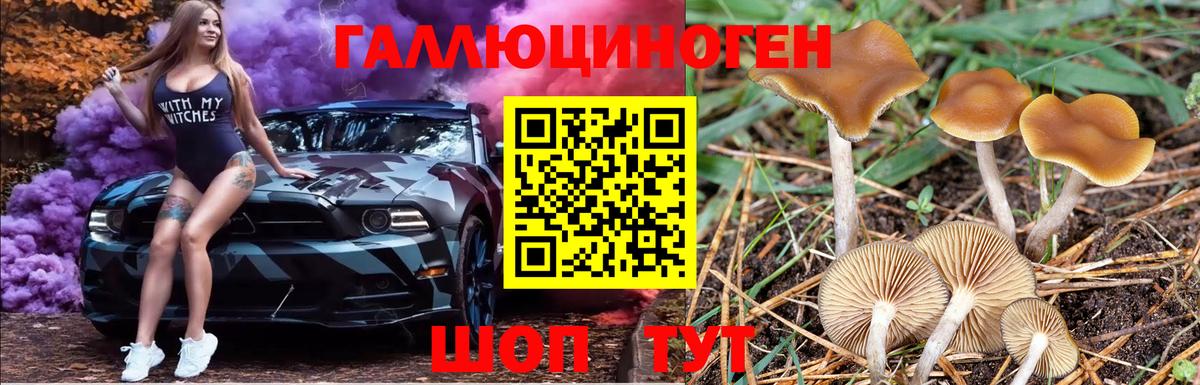 Галлюциногенные грибы MAGIC MUSHROOMS  Галлюциногенные грибы ЛСД  Петропавловск-Камчатский  Вход с VPN 