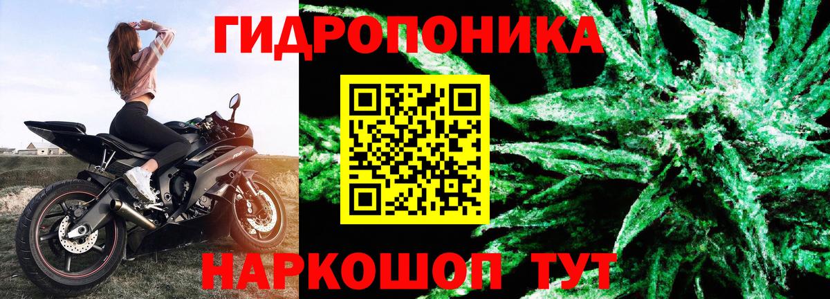 Каннабис гибрид  МАРИХУАНА VHQ  Петропавловск-Камчатский  Канабис VHQ  Вход с VPN 